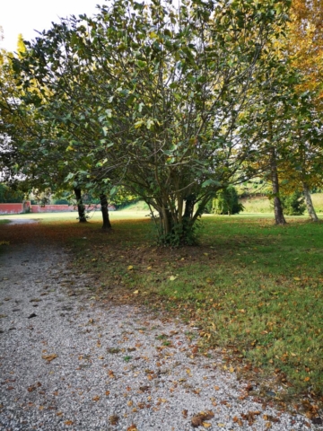 struttura-per-anziani-4