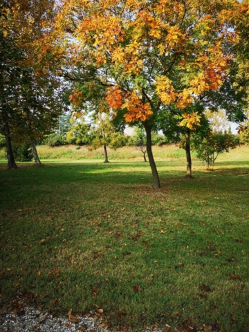 struttura-per-anziani-5