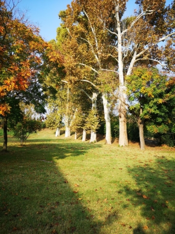 struttura-per-anziani-6